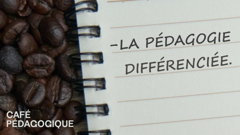 Café pédagogique, café professionnel