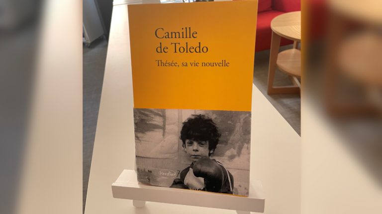 Camille de Toledo : Thésée, sa vie nouvelle (2020)