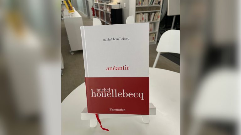 Michel Houellebecq : Anéantir 