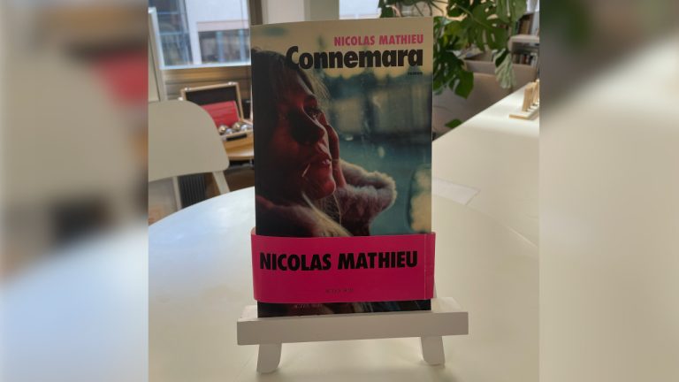 Nicolas Mathieu : Connemara (2022)