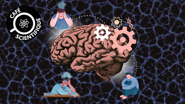 Stressi ja ahdistuneisuus neurotieteen valossa
