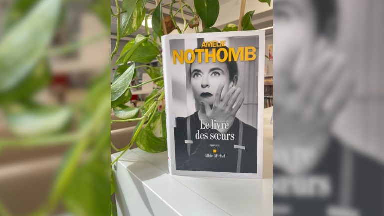 Le livre des sœurs – Amélie Nothomb