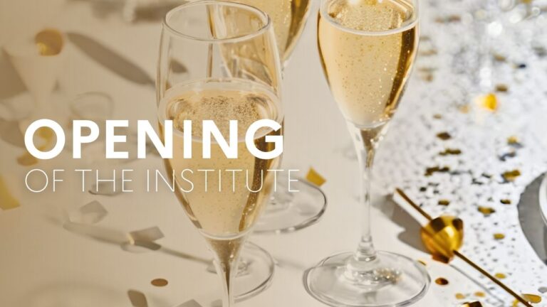 Opening of the French Institute