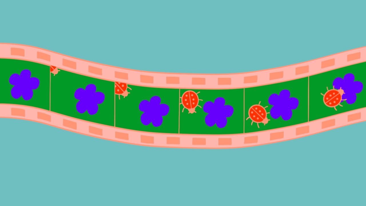 Cinema